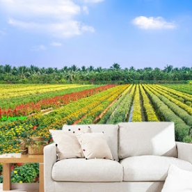 Tranh dán tường phong cảnh thiên nhiên m121