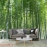 Natural landscape mural me286