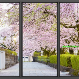 Tranh dán kính 3d 2 mặt phong cảnh n2004-475