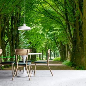 Tranh dán tường phong cảnh thiên nhiên n2004-452