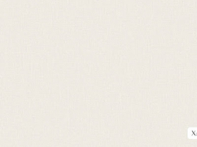 Giấy dán tường hàn quốc xavia 3904-2