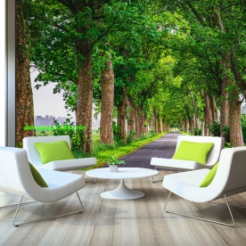 Tranh dán tường phong cảnh thiên nhiên n2004-532