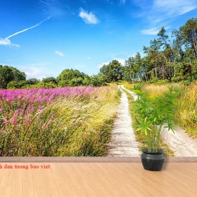 Wallpaper for natural landscape me183