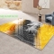 3d glass decal for glass table top me386