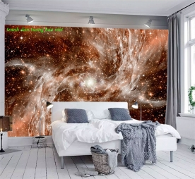 3d wall mural galaxy c221