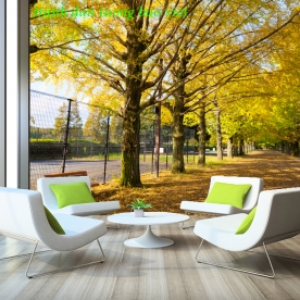 Natural landscape wall mural me401