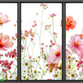 Tranh dán kính 3d 2 mặt 2005-34