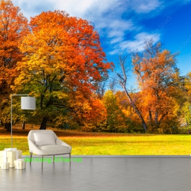 Tranh dán tường phong cảnh thiên nhiên n2026-50