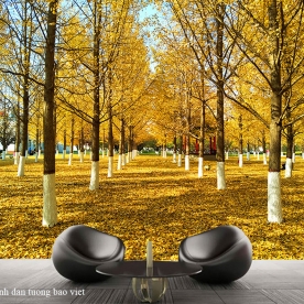 Wallpaper for natural scenery tr350