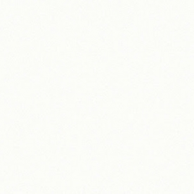 Giấy dán tường hàn quốc the view 3009-1