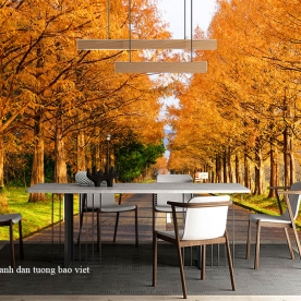 Wallpaper living room tr351