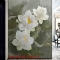 3d glass painting with 2 sides of lotus n2003-31