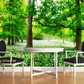 Tranh dán tường phong cảnh thiên nhiên n2004-260