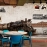 Wall murals for cafe fm547