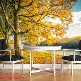 Natural landscape murals tr363