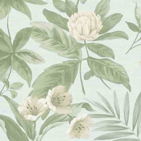 Giấy dán tường hàn quốc JCD 5009-1