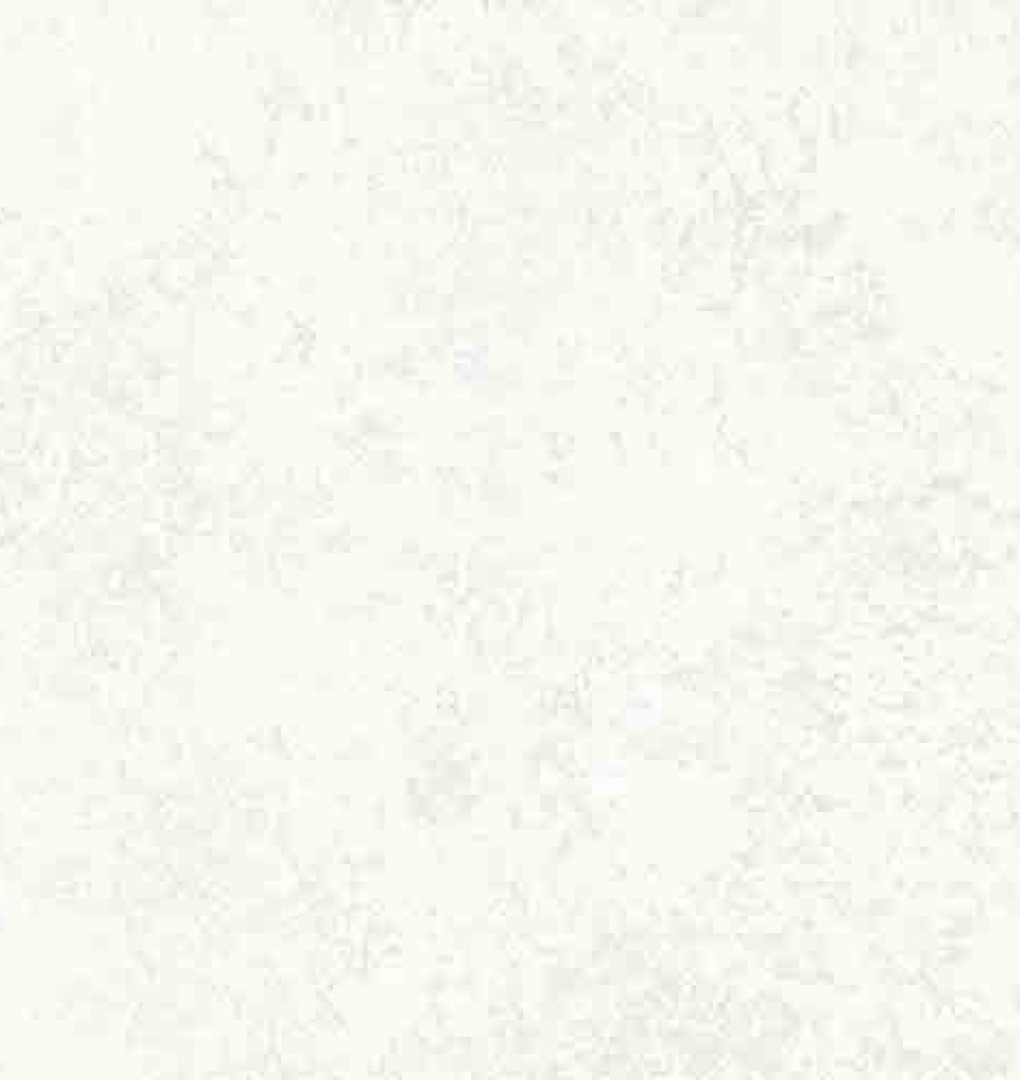 Giấy dán tường hàn PA1910-1