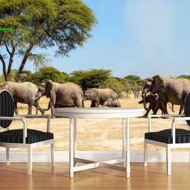 Tranh dán tường phong cảnh thiên nhiên n2004-274