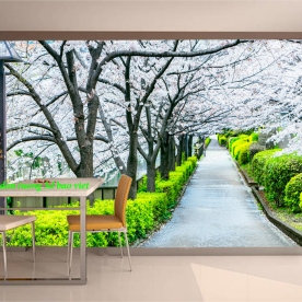 Tranh dán tường phong cảnh thiên nhiên n2004-299