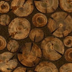 Giấy dán tường hàn quốc 73007-4