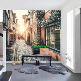 Wall paintings of European city and street scenes fm614