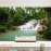Waterfall murals me231