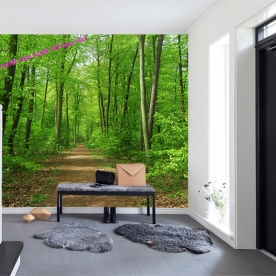 Natural landscape murals tr379