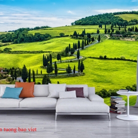 Me251 mountain river wall murals