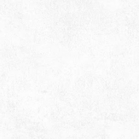 Giấy dán tường hàn quốc promise 52523-1