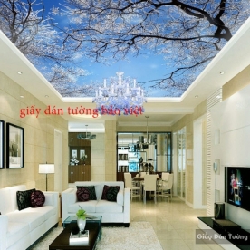 Beautiful ceiling wallpaper C028