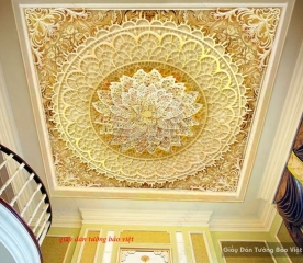 Beautiful patterned ceilings e001