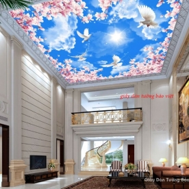 Living room ceiling wallpaper d161