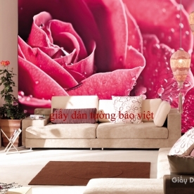 Beautiful wallpaper H096