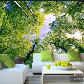 Beautiful wallpaper Tr065