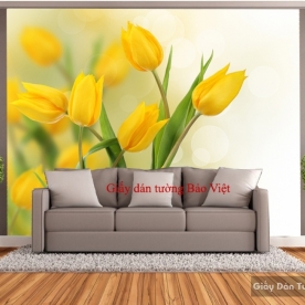 Beautiful wallpaper cheap H117