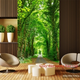 Wallpaper beautiful trees K014