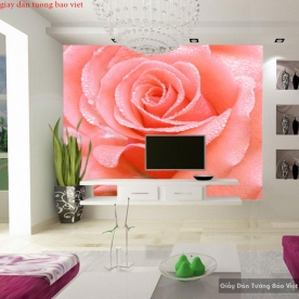 Wallpaper rose H206