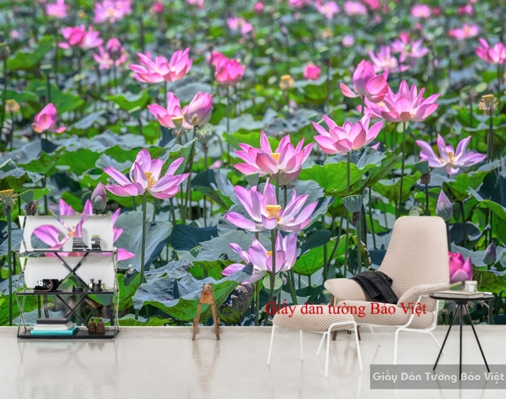 Lotus wallpaper H124 | Bao Viet wallpaper