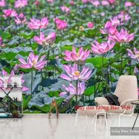Wallpaper lotus H124