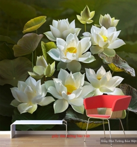 Wallpaper lotus H169