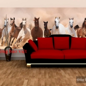 Wallpaper unique success code H009