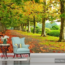 Tr150 autumn wallpaper