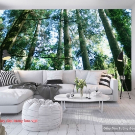 Wallpaper landscape Tr283