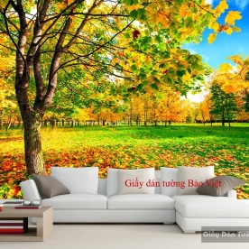 Wallpaper beautiful landscape Tr160