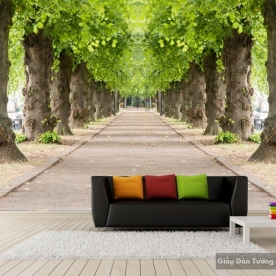 Wallpaper natural landscape Tr063