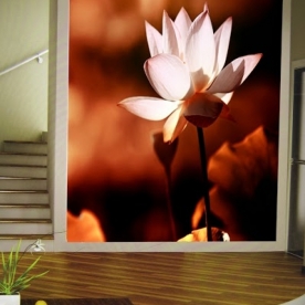 3D Wallpaper FLLT1501-19