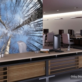 3D Wallpaper FTR1502-20