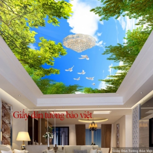 3D ceiling wallpaper C059