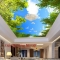 3D ceiling wallpaper C059