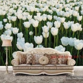 3D wallpaper K15449128